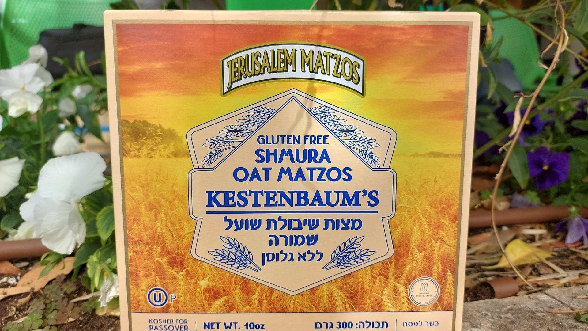 מצה שמורה שיבולת שועל ללא גלוטן (ברכת המוציא)| מצות ירושלים