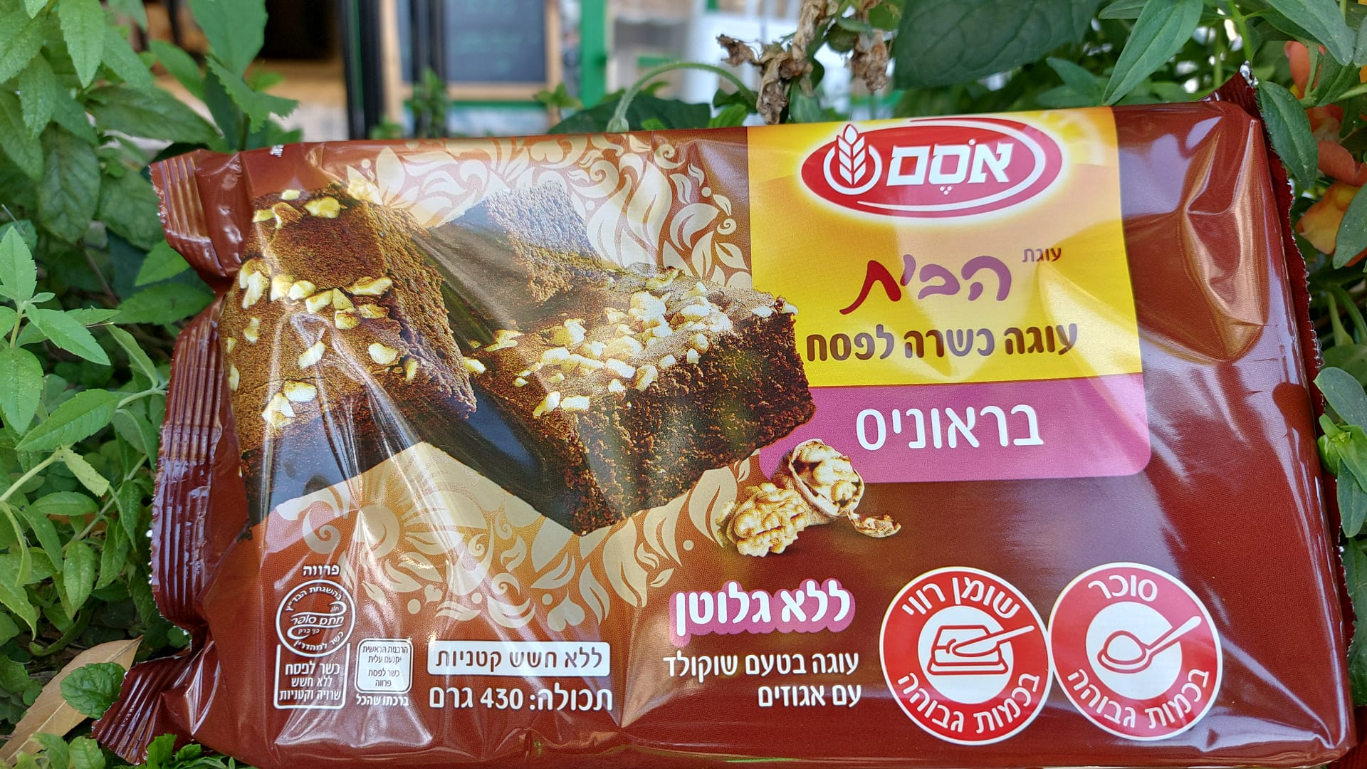 עוגת הבית בראוניס כשרה לפסח ללא גלוטן | אסם