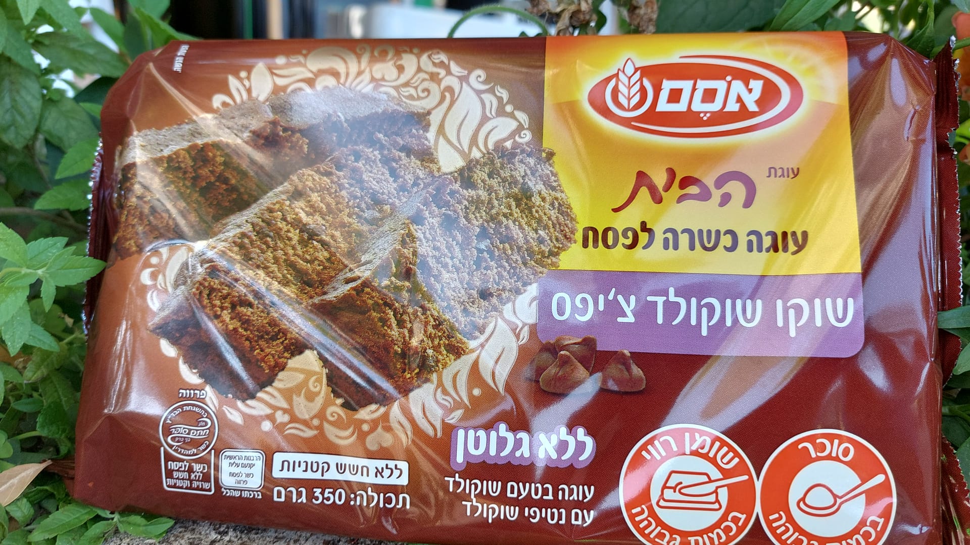 עוגת הבית שוקו שוקולד צ'יפס כשרה לפסח ללא גלוטן | אסם