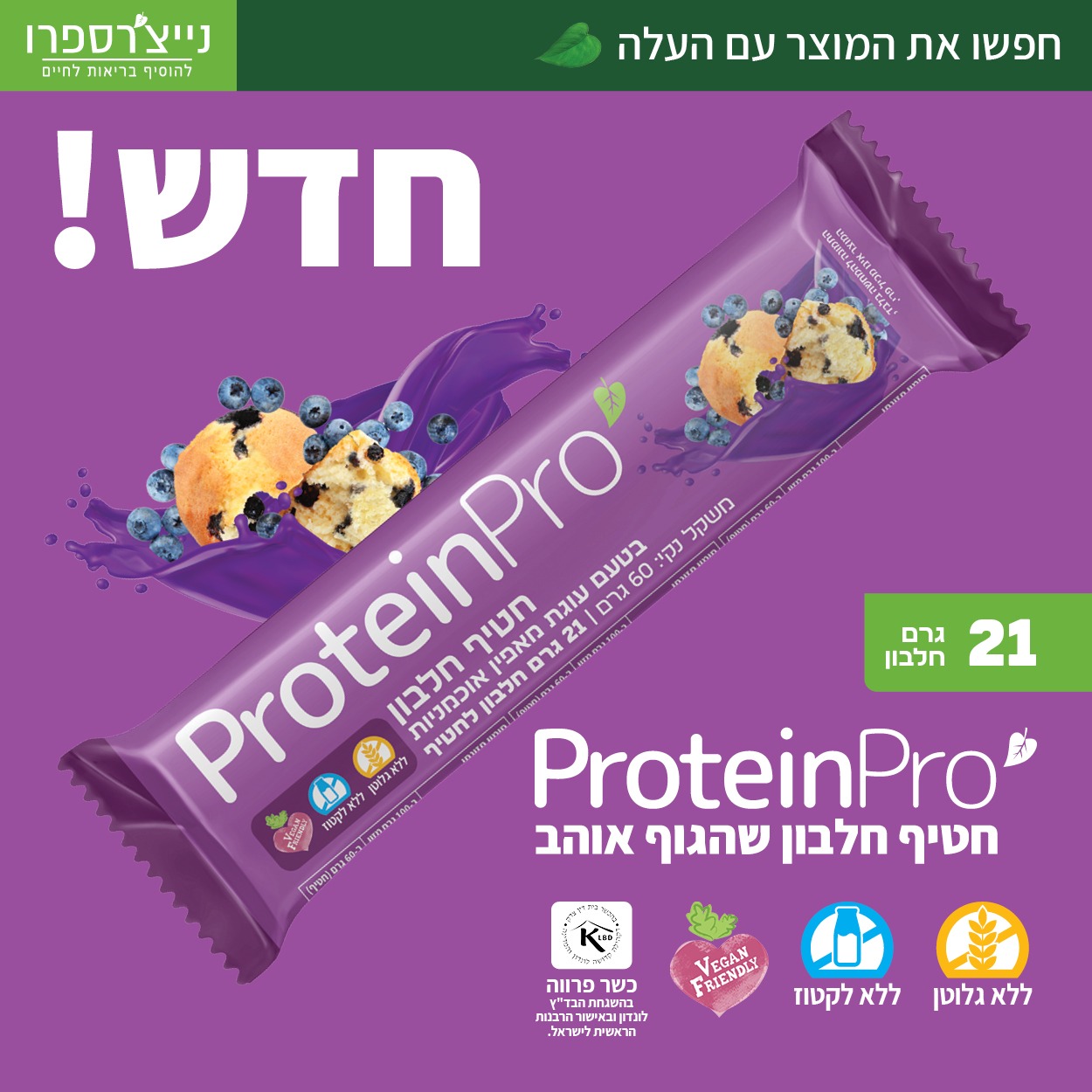חטיף חלבון טבעוני בטעם עוגת מאפין ואוכמניות  ללא גלוטן | נייצ'רספרו